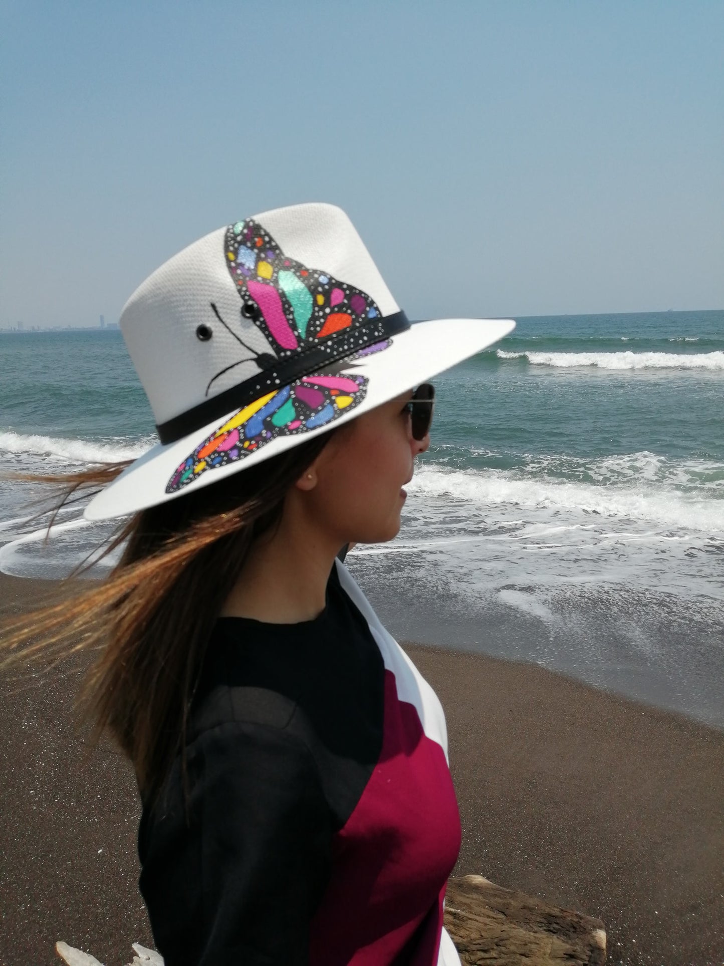 Mariposa de colores