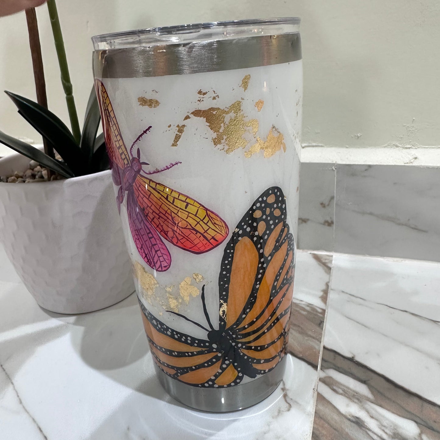 Insectos